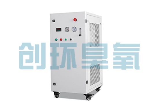 衡阳石斑鱼养殖水质调控完整指南：臭氧发生器配置与操作步骤