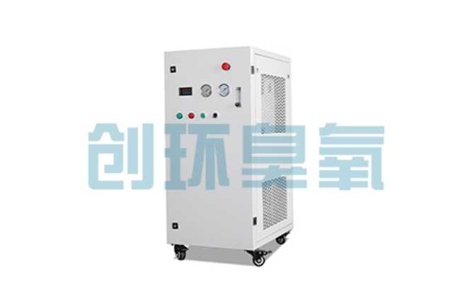 衡阳比传统换水更高效？臭氧发生器在石斑鱼养殖中的水质净化原理解析